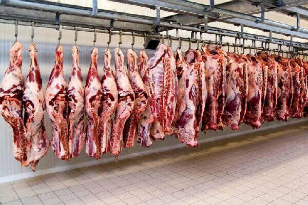 افزایش ۴۰ درصدی قیمت گوشت قرمز | ضعف نظارت جهاد کشاورزی گلستان