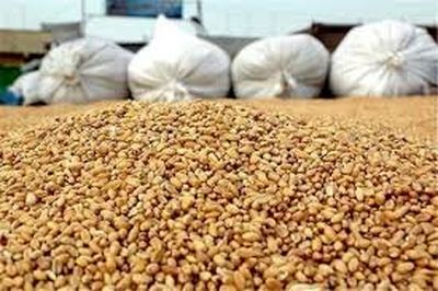 خوراک دام امروز یک قیمت است فردا یک قیمت دیگر